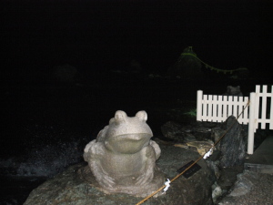 夜の夫婦岩