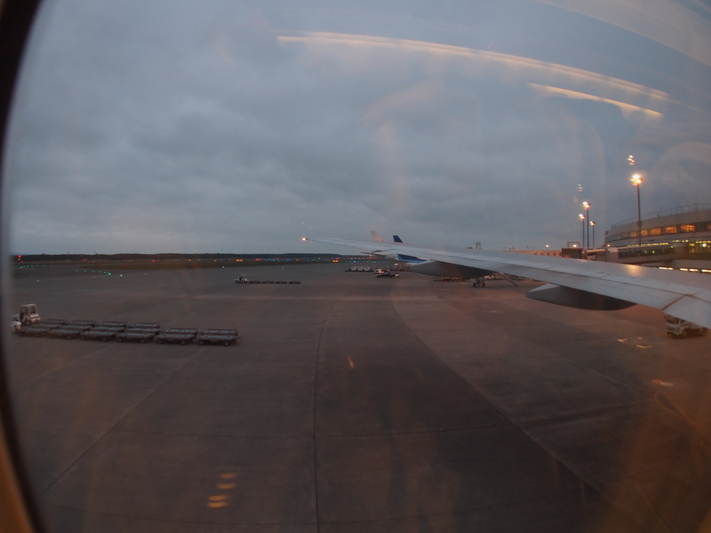 B777でした…