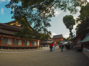 京都は良い天気でした…