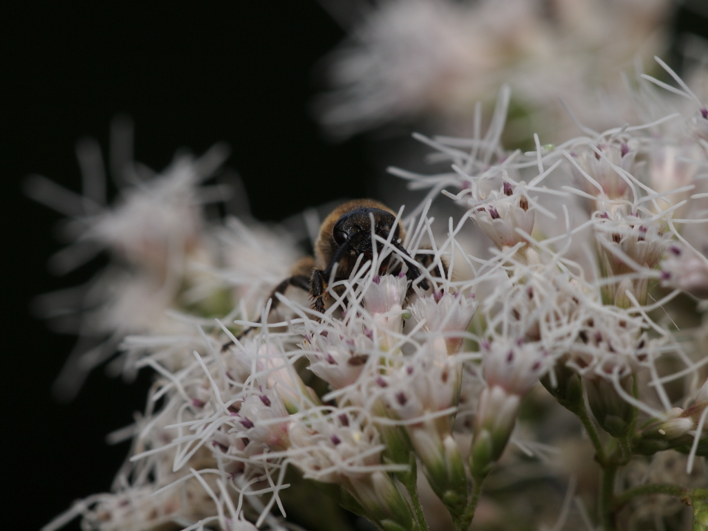 こちら向きですが…