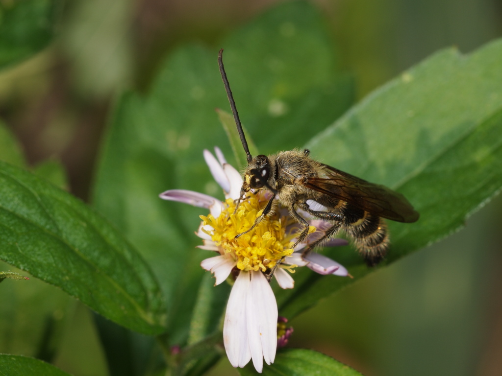 キケンキケン…