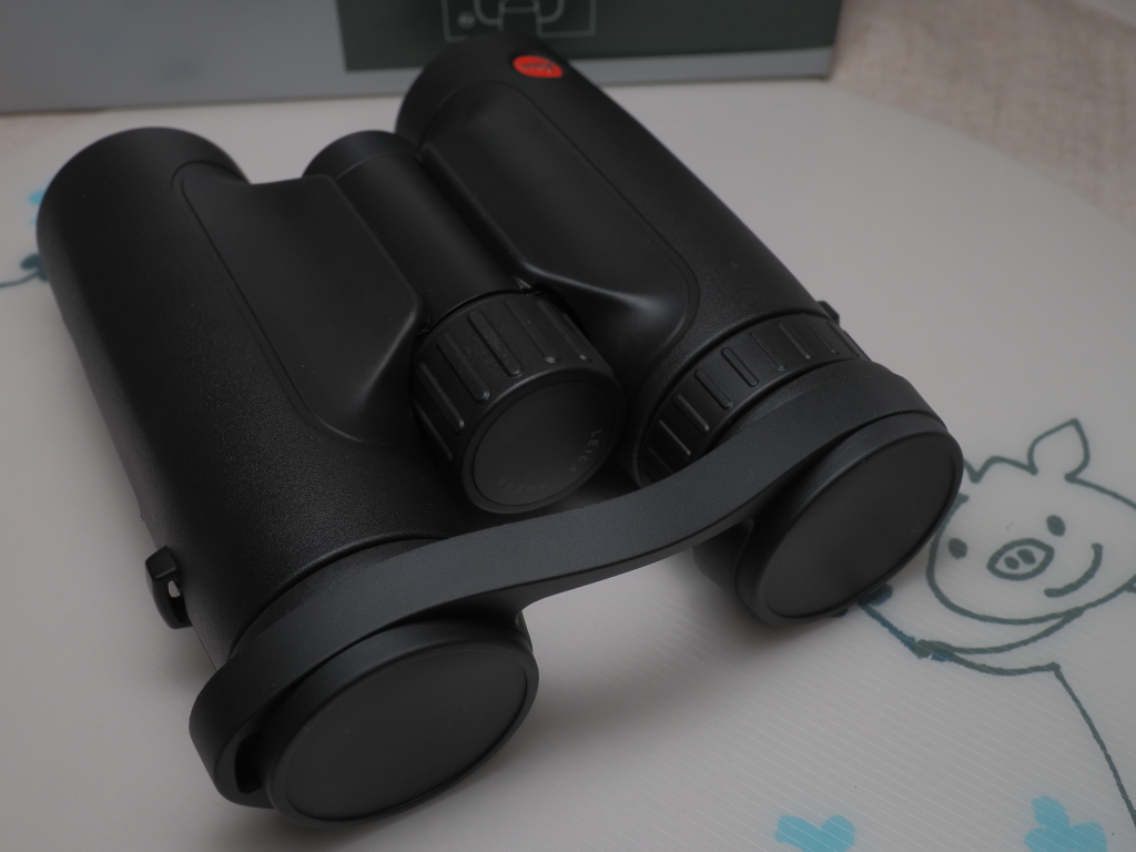 入れ替え前のTRINOVIDよりもすっきりしたデザイン…