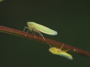 写真追加! 写真追加!